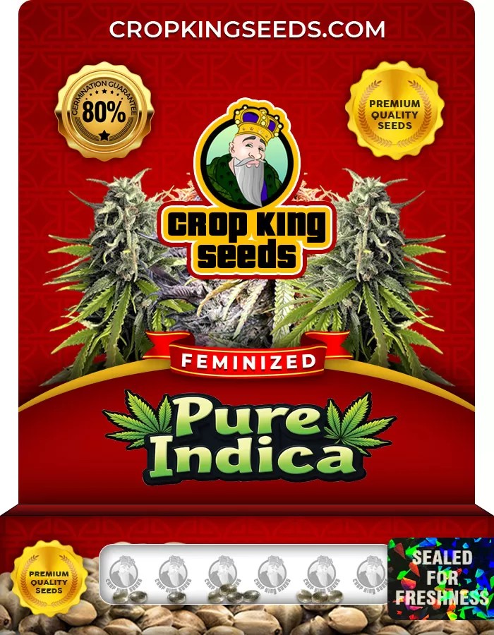 Pure Indica Feminized Marijuana Seeds
