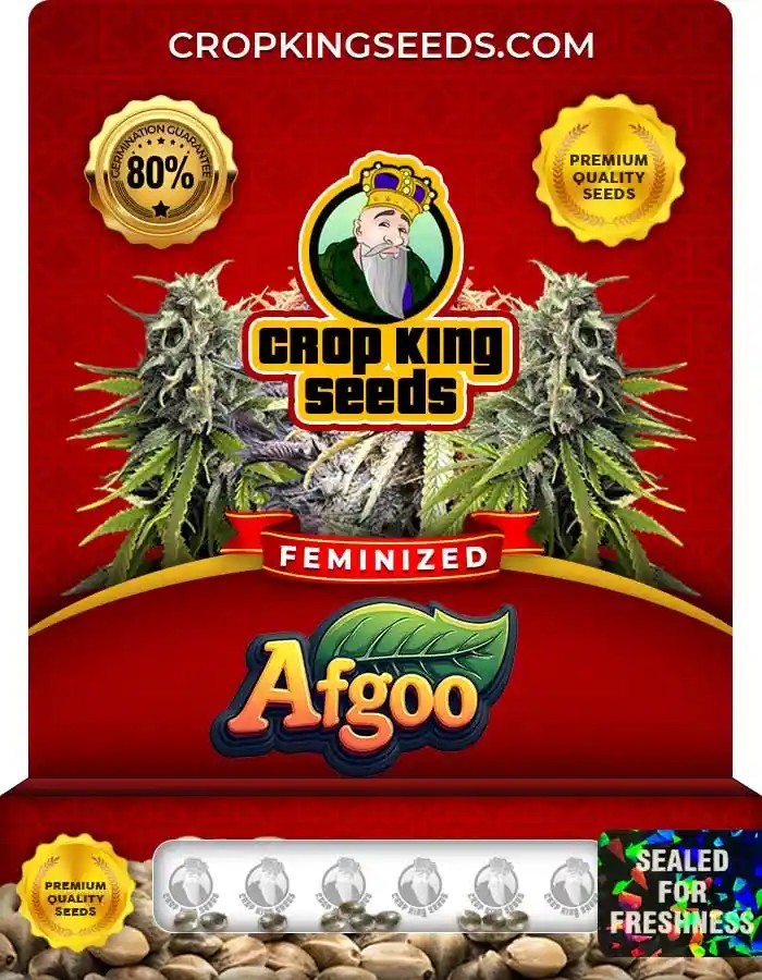 Afgoo Strain Feminized Marijuana Seeds