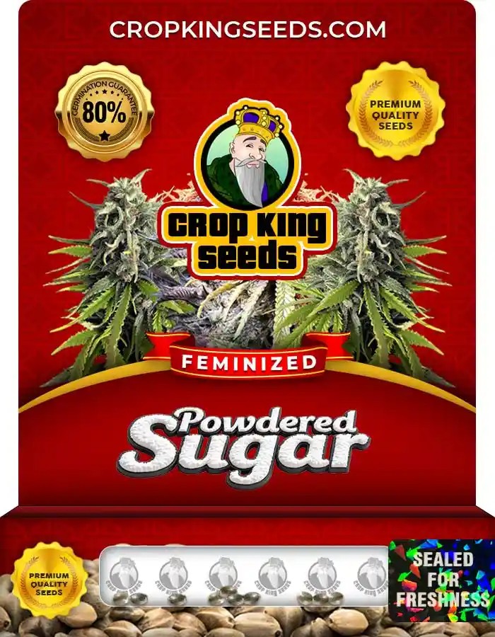 Powdered Sugar Strain Feminized Marijuana Seeds
