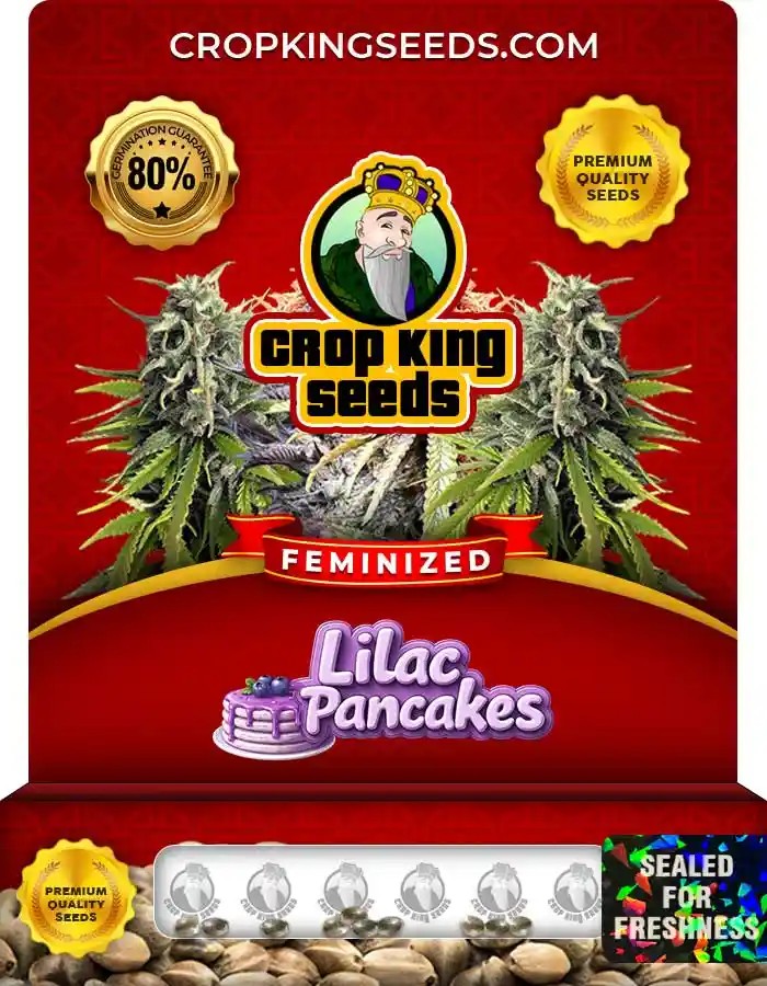 Lilac Pancakes Strain Feminized Seeds