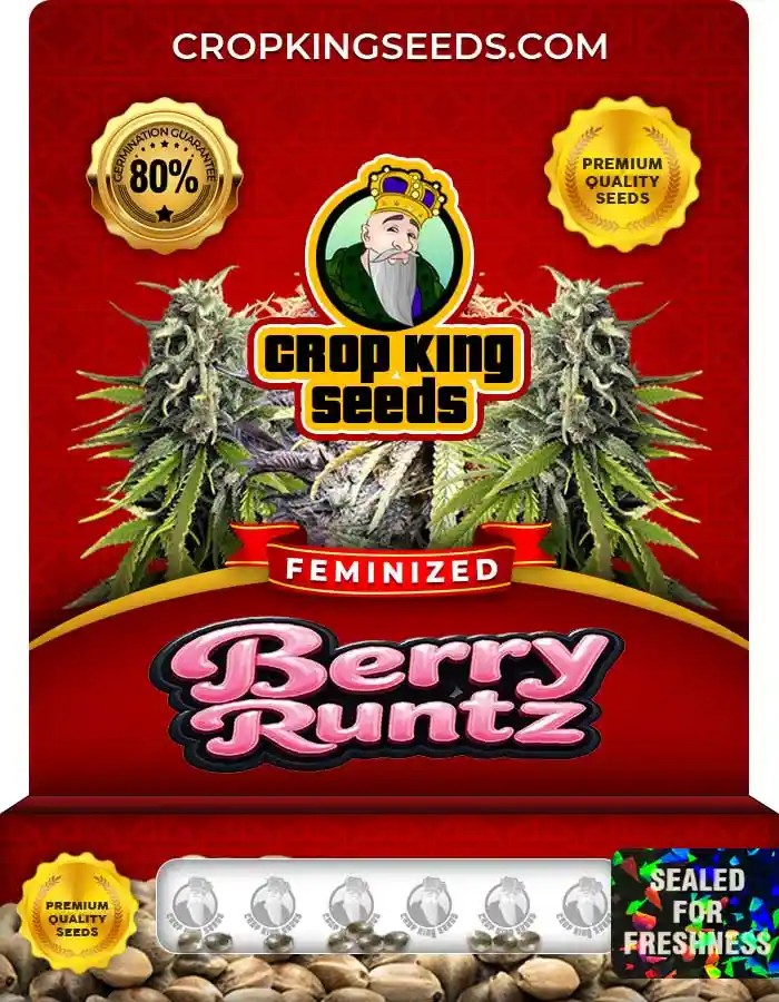 Berry Runtz Strain Feminized Marijuana Seeds