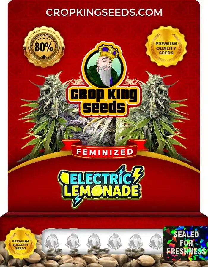 Electric Lemonade Strain Feminized Seeds
