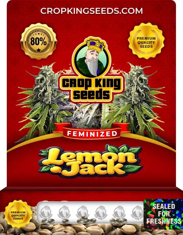 Lemon Jack Strain Feminized Marijuana Seeds