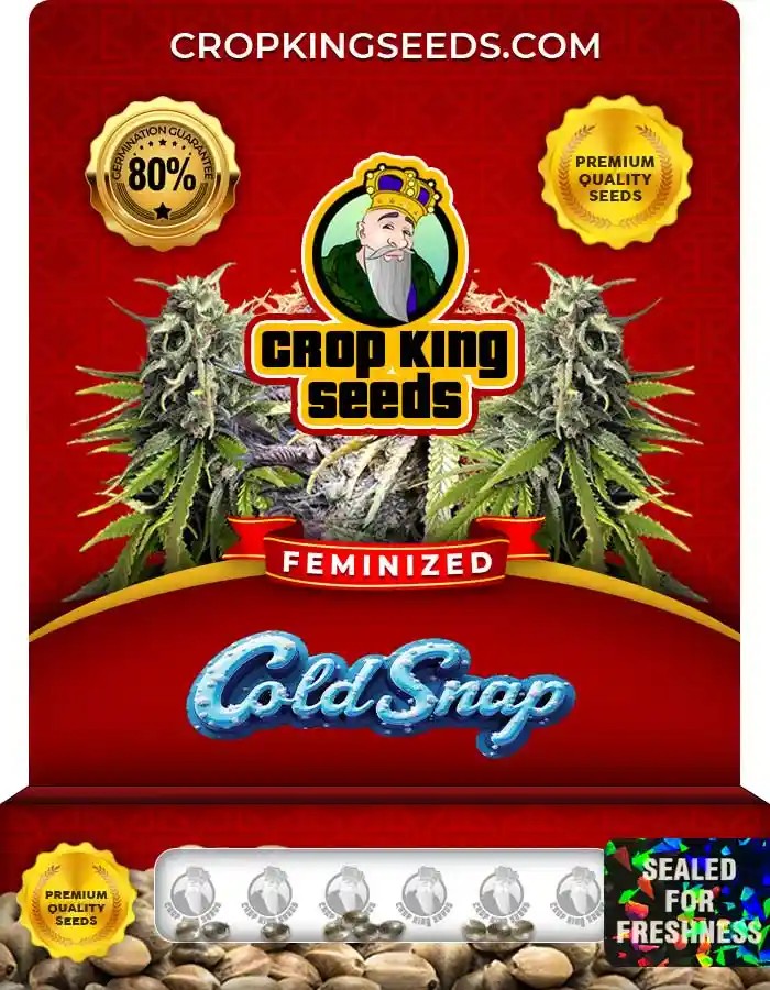Cold Snap Strain Feminized Marijuana Seeds