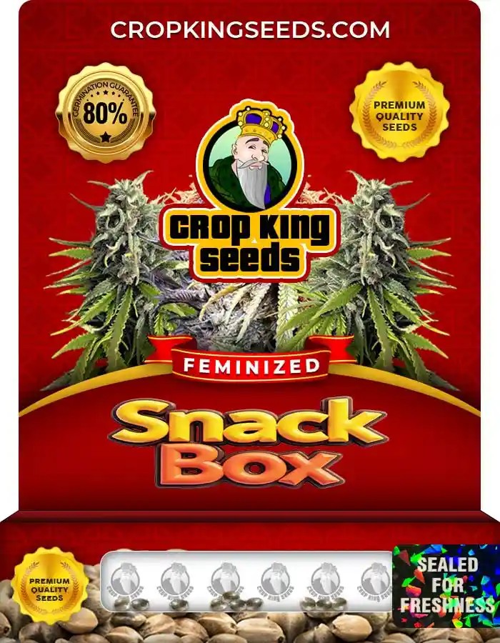 Snack Box Feminized Seeds