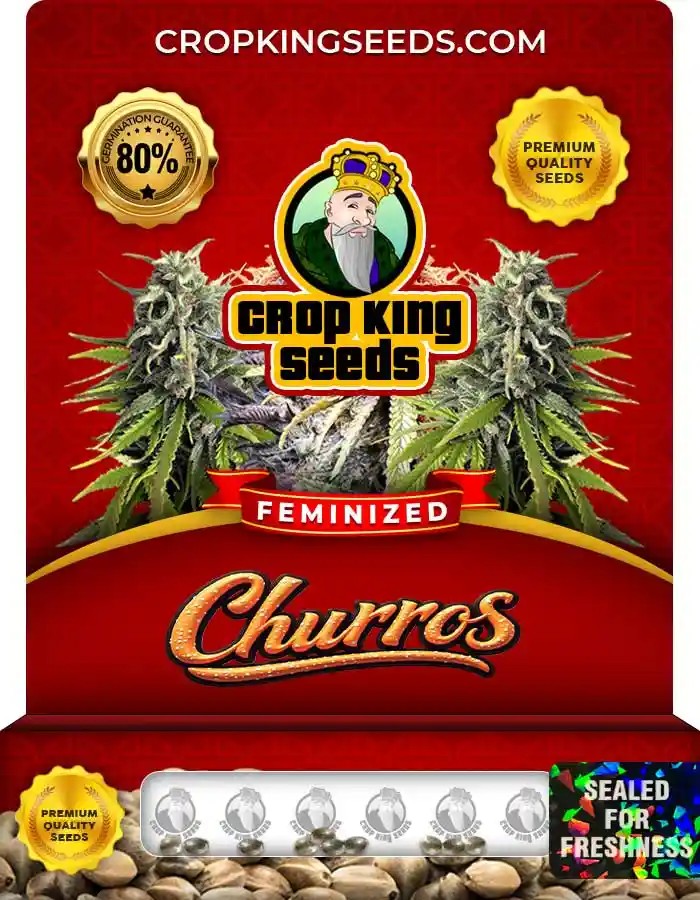 Churros Strain Feminized Marijuana Seeds