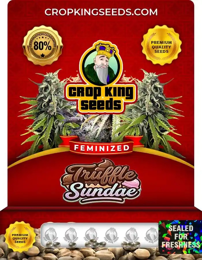 Truffle Sundae Feminized Seeds