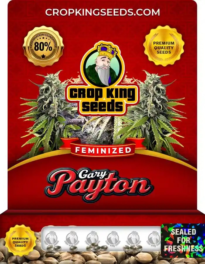Gary Payton Strain Feminized Seeds
