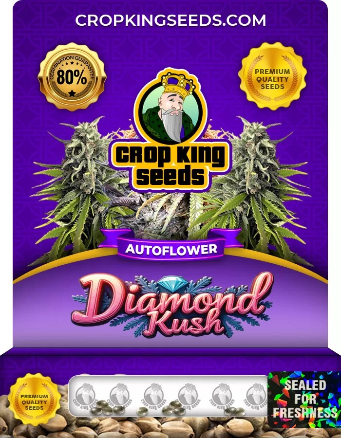 Diamond Kush Autoflower Marijuana Seeds
