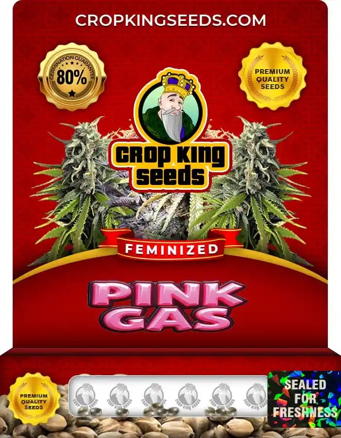 Pink Gas Feminized Seeds