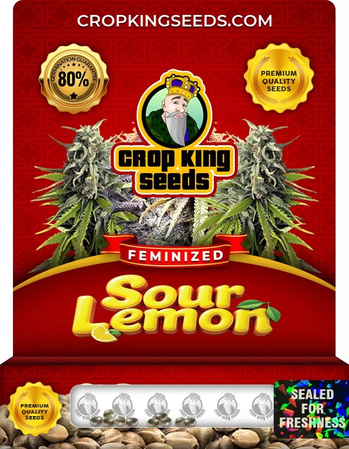 Sour Lemon Strain Feminized Marijuana Seeds