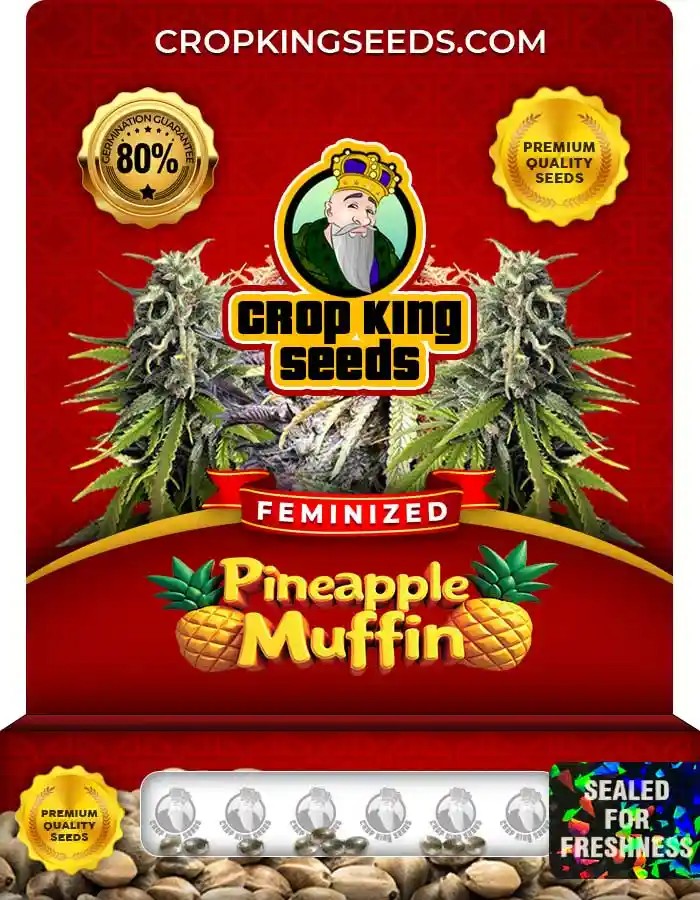 Pineapple Muffin Feminized Seeds
