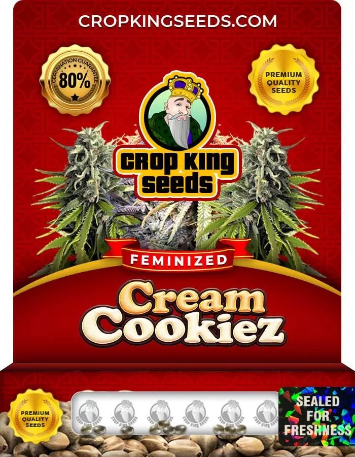 Cream Cookiez Feminized Seeds