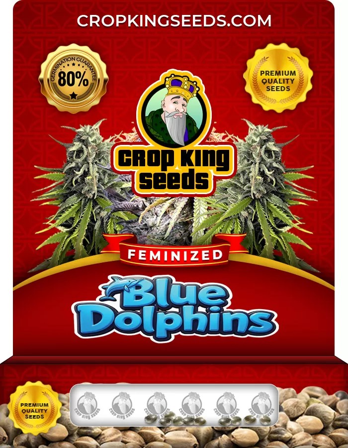 Blue Dolphin Feminized Seeds