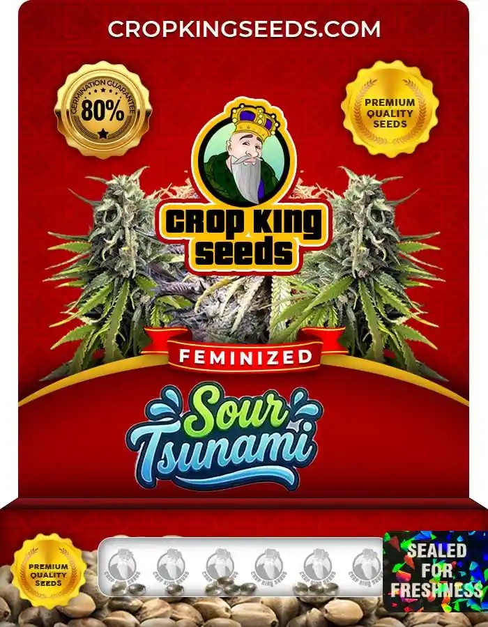 Sour Tsunami Strain Feminized Marijuana Seeds