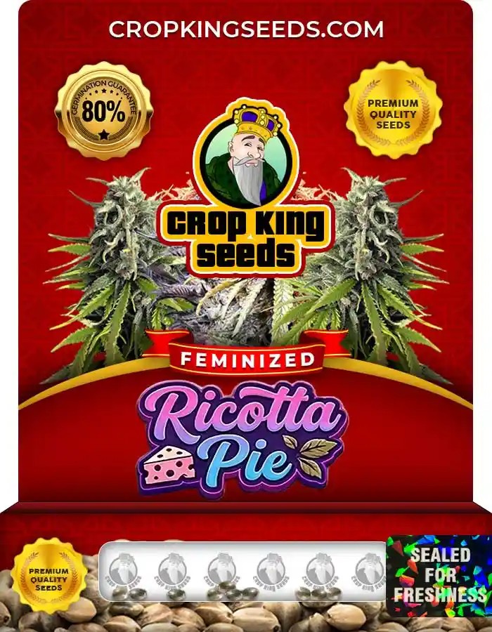 Ricotta Pie Strain Feminized Seeds