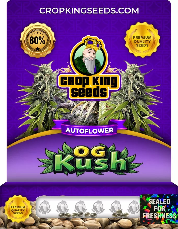 OG Kush Autoflower Marijuana Seeds