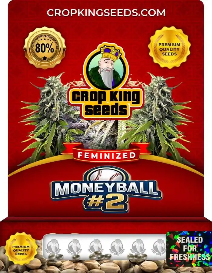 Moneyball #2 Strain Feminized Seeds