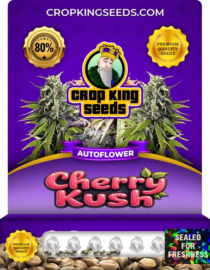 Cherry Kush Autoflowering Marijuana Seeds