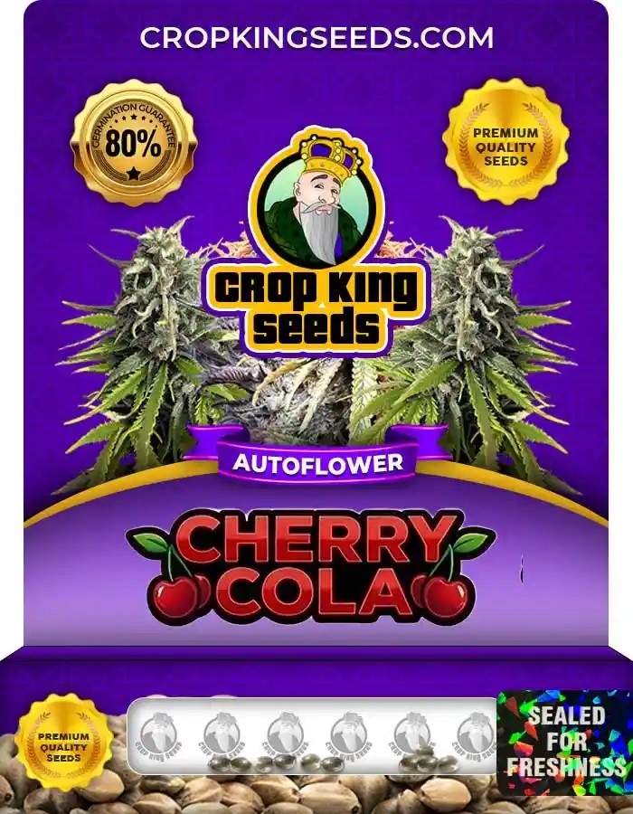 Cherry Cola Autoflower Seeds