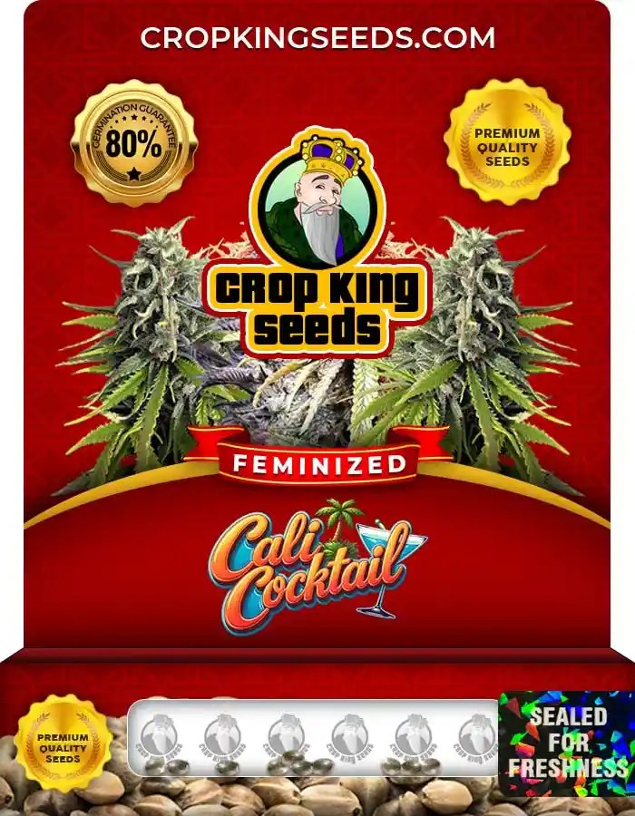 Cali Cocktail Strain Feminized Seeds