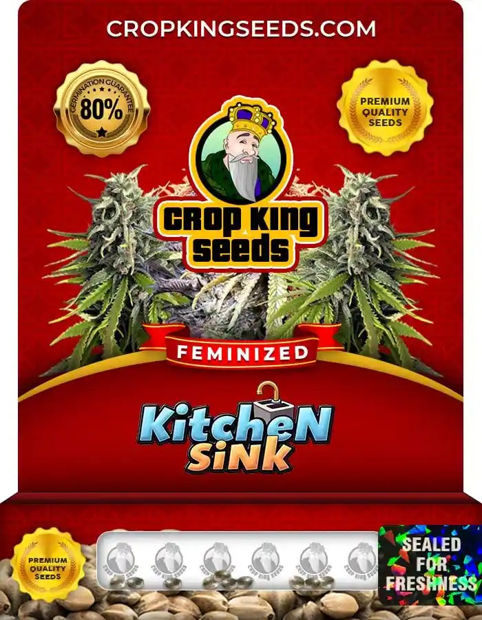 Kitchen Sink Strain Feminized Marijuana Seeds