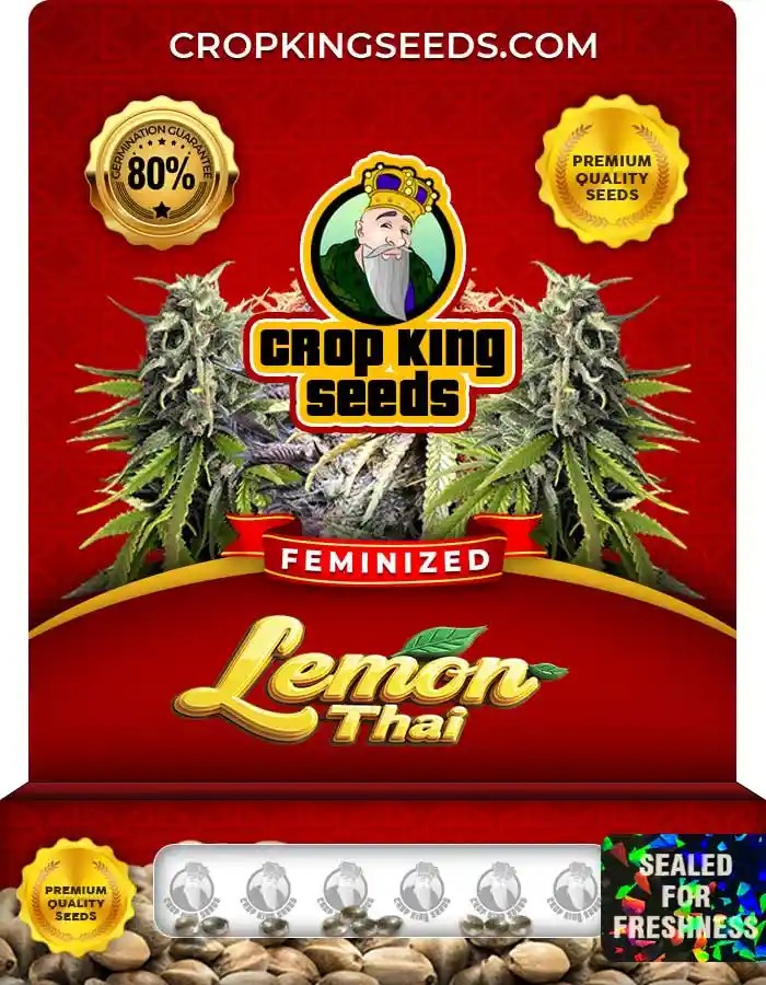 Lemon Thai Strain Feminized Seeds
