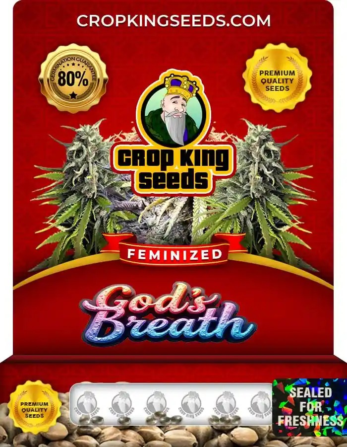 God’s Breath Strain Feminized Marijuana Seeds
