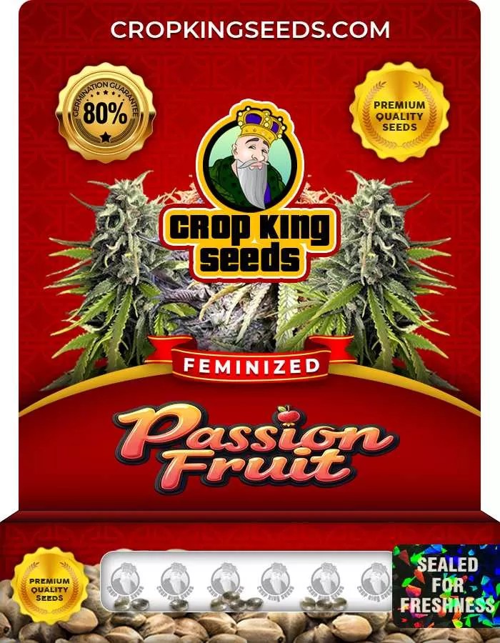 Passion Fruit Strain Feminized Marijuana Seeds