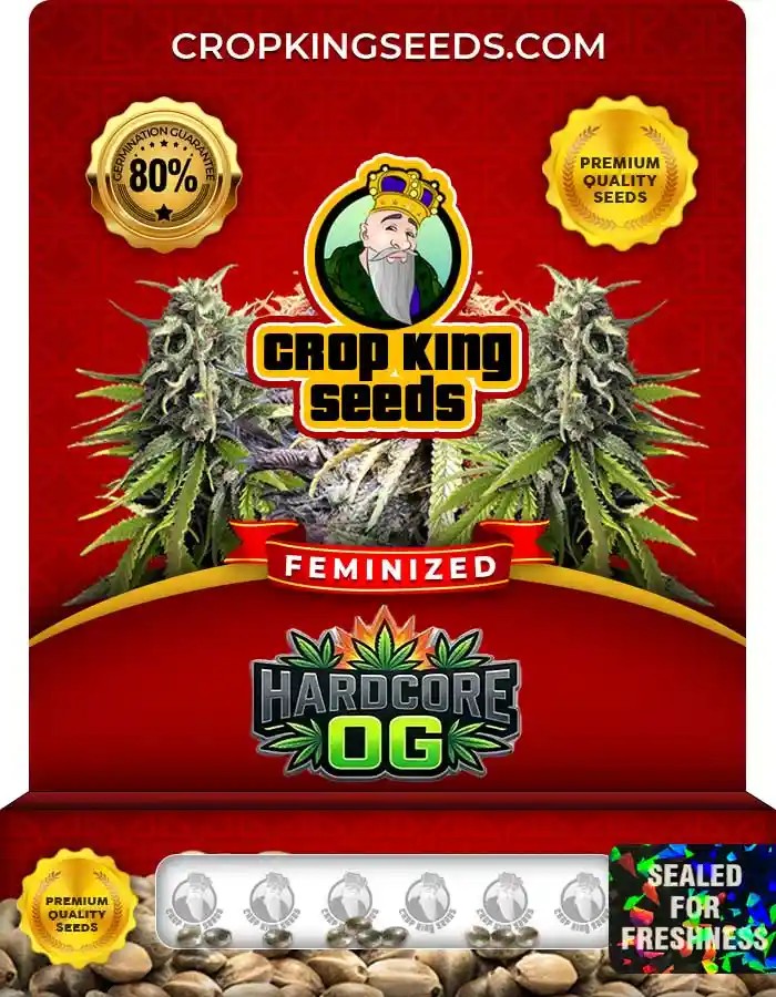 Hardcore OG Strain Feminized Marijuana Seeds