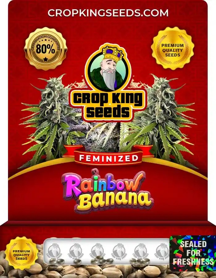 Rainbow Banana Feminized Seeds