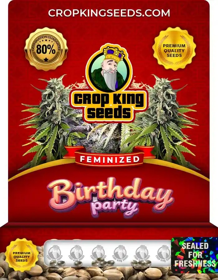Birthday Party Feminized Seeds