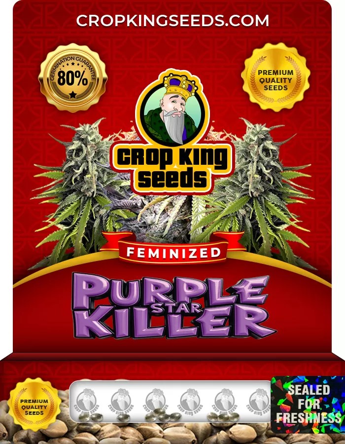 Purple Star Killer Feminized Marijuana Seeds