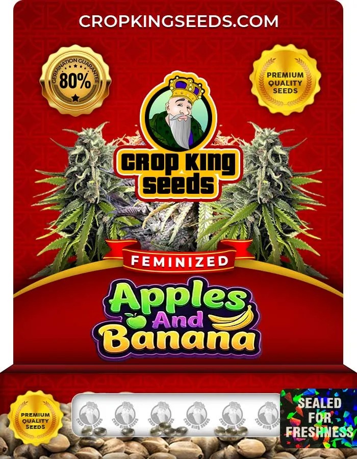 Apples And Banana Strain Feminized Seeds