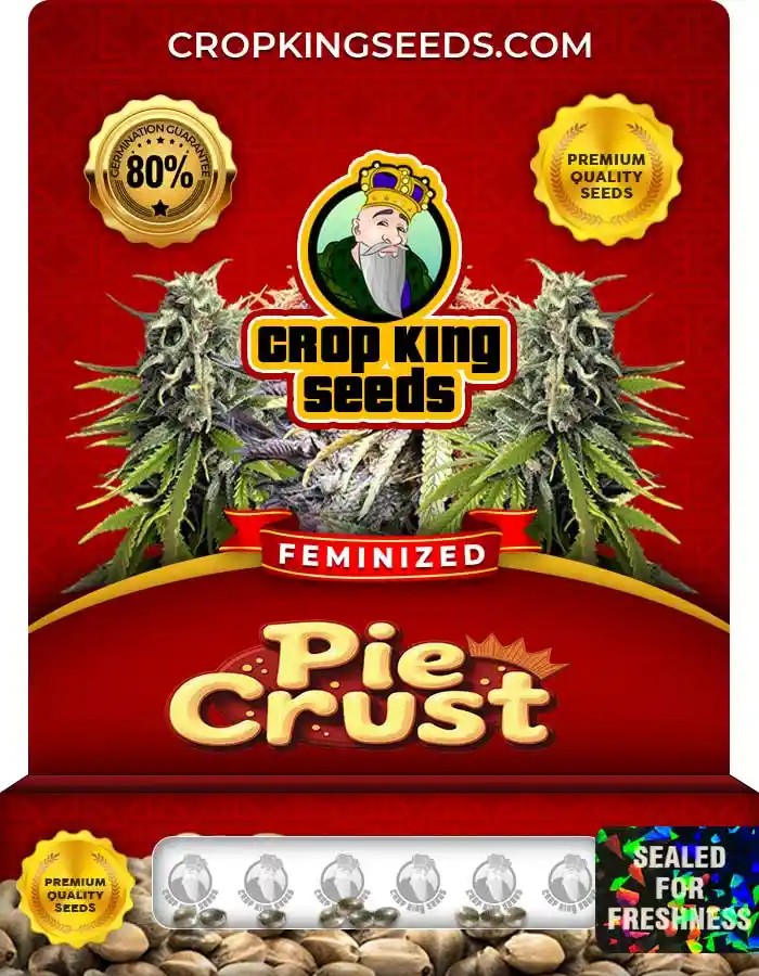 Pie Crust Strain Feminized Marijuana Seeds