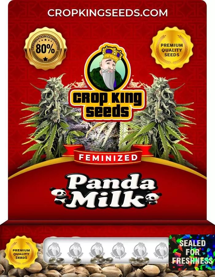 Panda Milk Strain Feminized Marijuana Seeds