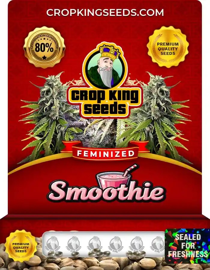 Smoothie Strain Feminized Seeds