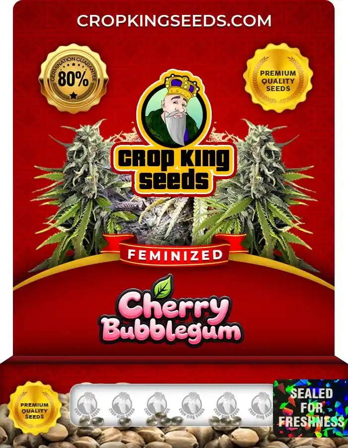 Cherry Bubblegum Feminized Seeds