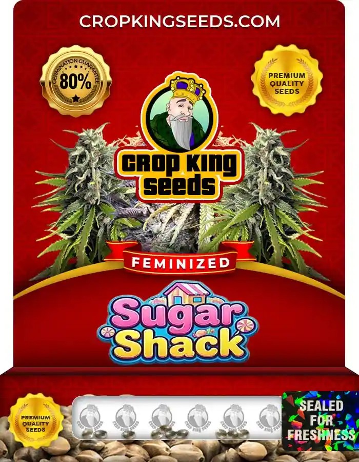 Sugar Shack Strain Feminized Marijuana Seeds