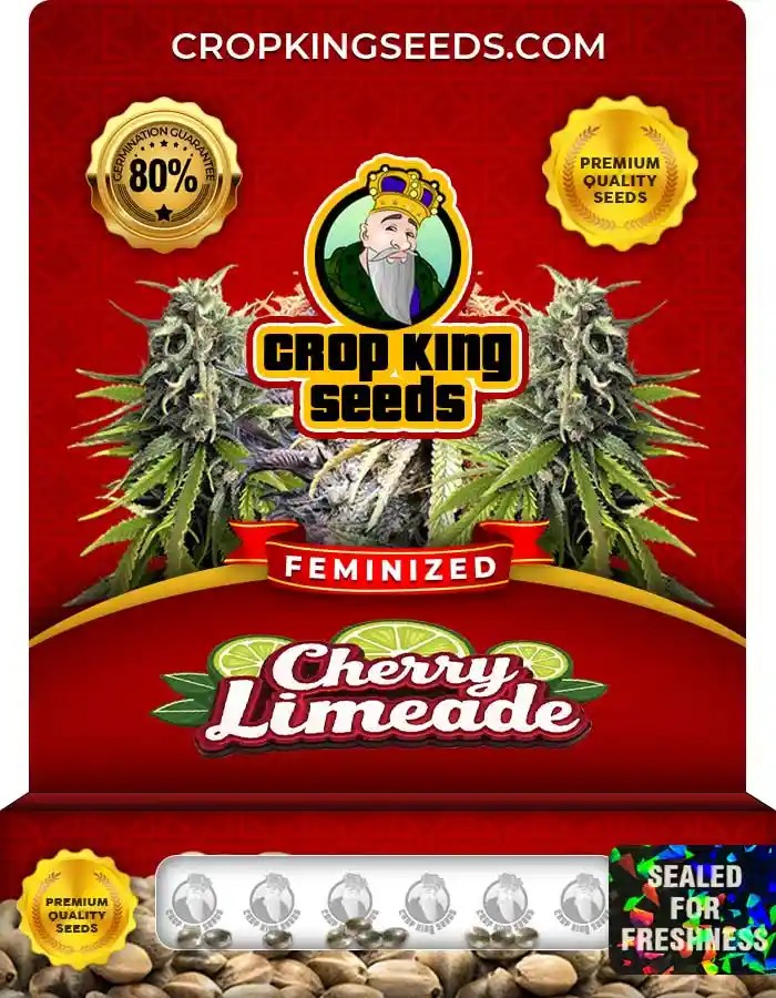 Cherry Limeade Strain Feminized Marijuana Seeds