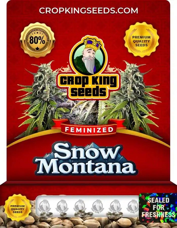 Snow Montana Feminized Seeds