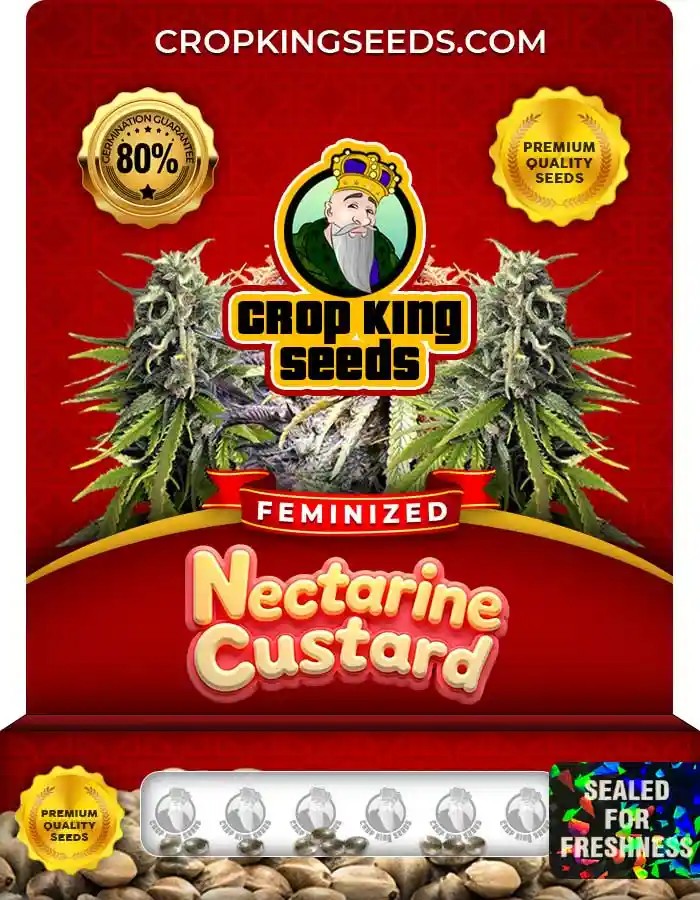 Nectarine Custard Strain Feminized Seeds