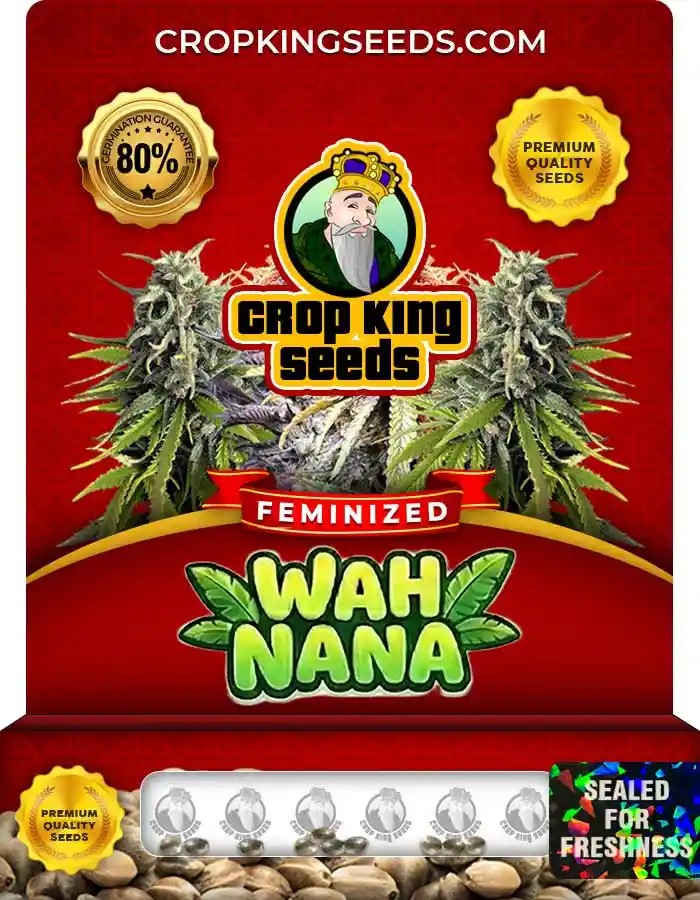 Wah Nana Strain Feminized Seeds
