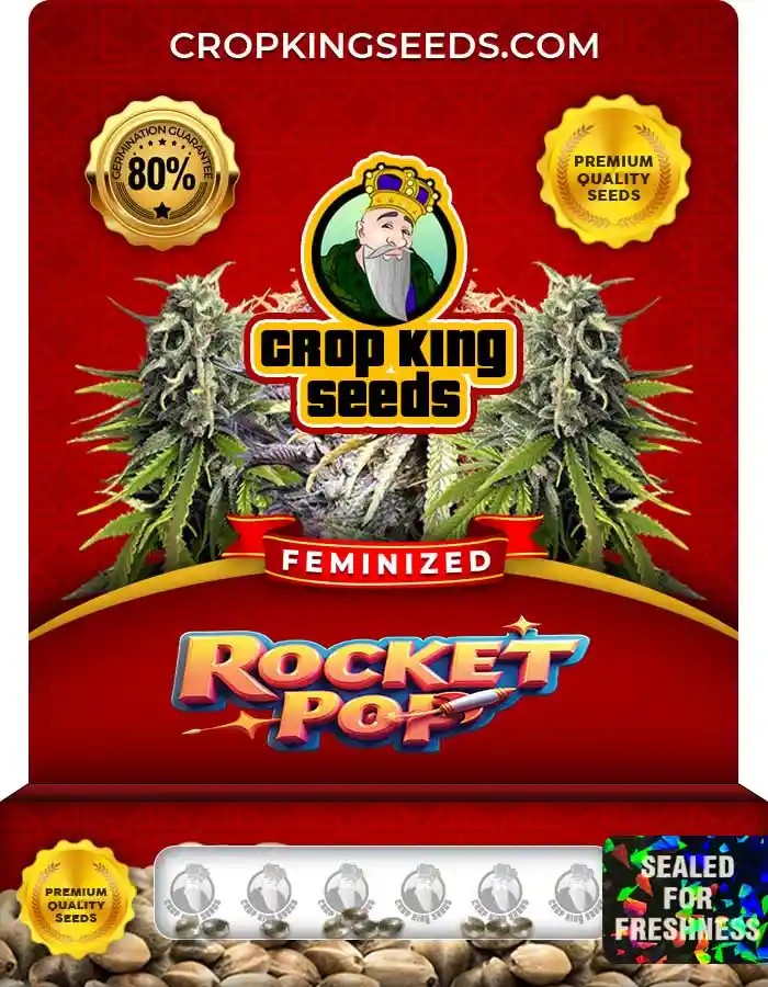 Rocket Pop Strain Feminized Marijuana Seeds