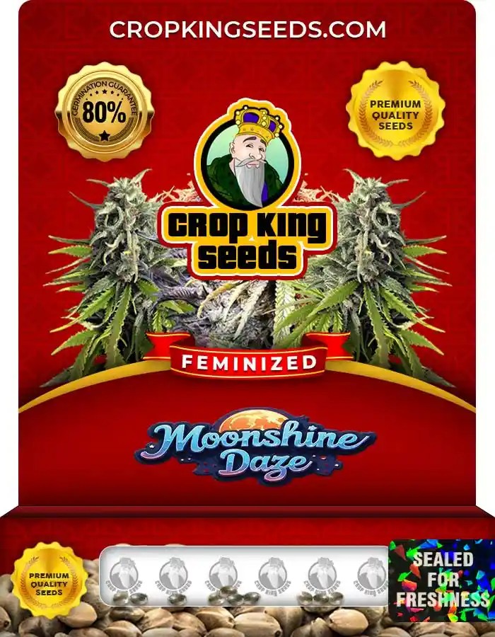 Moonshine Daze Feminized Seeds