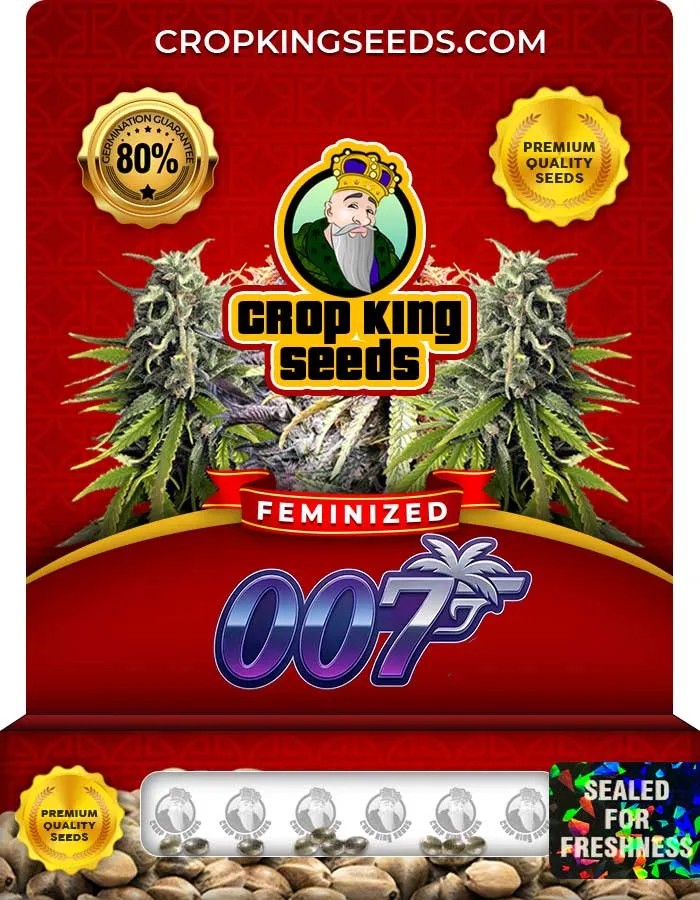 007 Strain Feminized Seeds