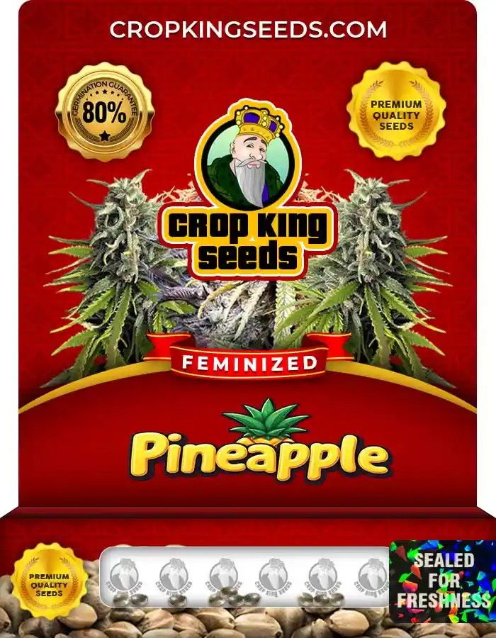 Pineapple Feminized Seeds