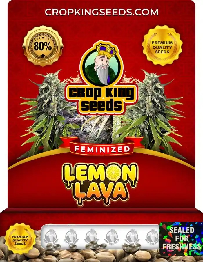 Lemon Lava Feminized Seeds