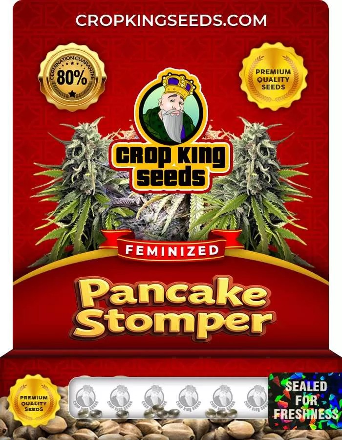 Pancake Stomper Strain Feminized Marijuana Seeds