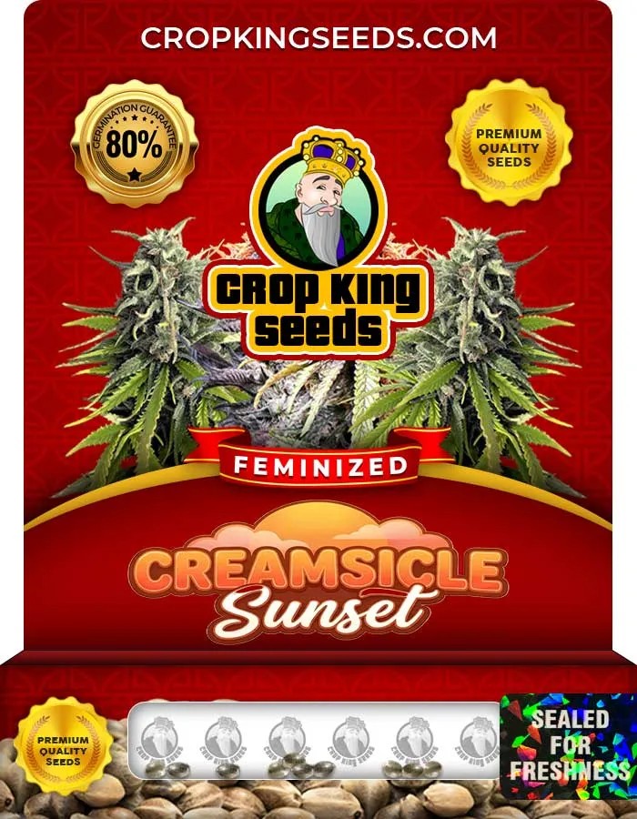 Creamsicle Sunset Strain Feminized Seeds